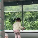 실타는곰 | 하남 비욘더팜 셀프바베큐장 내돈내산 후기 (아이랑 갈만한곳, 수영장)