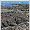 하우목동항 이미지