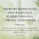 오늘의 &#39;영어성경 사진&#39;(392강) “큰 믿음을 가져라!”(마태복음 15장 28절) 이미지