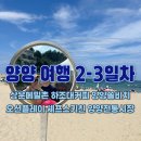 남문5길 | 강원도 양양 여행 2-3일차 ㅣ 상운메밀촌 하조대커피 쏠비치 오션플레이 셰프스키친 양양전통시장(봄날...