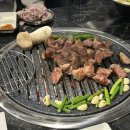 꿀돈 이미지