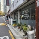 제주방목흑도야지