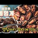 멍게비빔밥 만들기 자연산 돌멍게 손질법 멍게요리 이미지