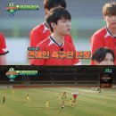 팀에이스 이미지