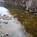 강변이야기펜션 | 가성비좋은펜션 청도강변돌고래펜션 방문후기