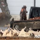 김용빈농장 이미지