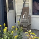 (주)부지런한사람들 행암점 | 🌼 [김해 겹벚꽃 명소] 카페모하 실시간 후기! 유채꽃과 겹벚꽃의 환상 콜라보 🌸