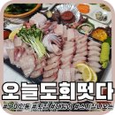 남구미로-12 | [구미인동] '오늘도회떳다' 구미 대방어 맛집 노량진인줄? 내돈내산 후기
