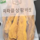 뭇별상황버섯