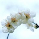 섬진강 물길 이미지