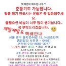 중앙칼라 이미지