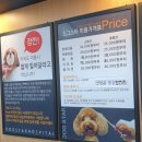 도그스타 금곡점 이미지