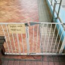 왈왈이애견카페웨스턴돔점 이미지