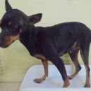 당정초등학교 이미지