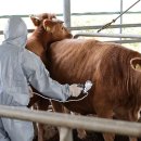 병인농장 이미지