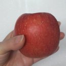 둥이네 농장 이미지