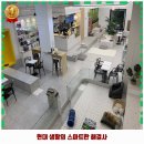 도그존 | 잠실본동 애견카페 킨더독 후기 좋았던 곳 추천되는 이유는 가격과 리뷰가 좋기 때문이죠
