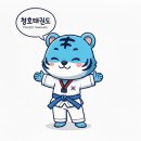 엘리트 태권도 점프 윙스 줄넘기 클럽 이미지