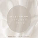 법무법인더베스트 이미지