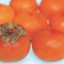 홍시모텔 이미지