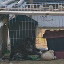 원산농장 | 경주 아이들이랑 가기 좋은 대형 한옥 카페노경보차리파