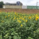 윤종원농장 이미지