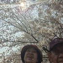 안양천 산책로 이미지