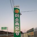 미소육묘장 이미지