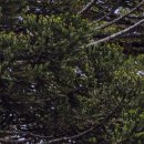 주식회사 제일식자재 이미지