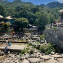 동학사약국 이미지