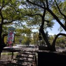 들판의추억목장 이미지