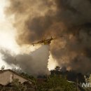 중부-현장-중부-1800 이미지