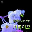 일박이일 이미지