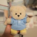 인형세상 | 세상에서 제일 귀여운 곰돌이 인형🐻레나베어 구매 후기🧸🐾