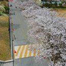 신창면 순천향로 이미지