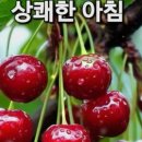 상쾌한아침