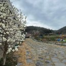 금오도별밤지기펜션 이미지