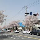 오손도손분식 이미지