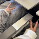 낙동강오리알 이미지