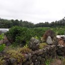 지영이네농장 이미지