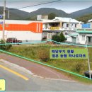 상주유자랜드 이미지