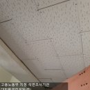 대한환경 이미지