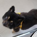 스튜디오아리와 이미지