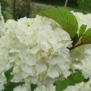 정읍리틀포레스트 이미지
