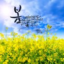 삼성의원 이미지