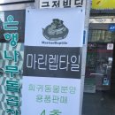 마린렙타일 - 구로구 개봉로23가길 31 | [희귀동물분양/파충류/양서류] 개봉동 마린렙타일 방문 후기