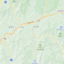 법인대관령순수양떼목장