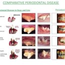 시그널동물병원 이미지