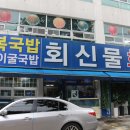 회신물회