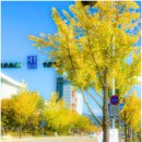 공정관광 프로그램 Fall in 대전